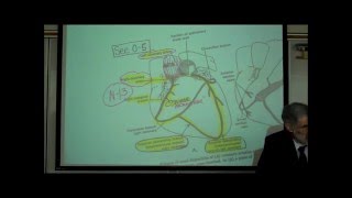 ANATOMY CIRCULATORY SYSTEM PART 4 CARDIAC DISORDERS by Professor Fink [upl. by Hada]