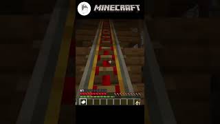 Mole People  The Assassinator Roller Coaster minecraft [upl. by Sivolc]