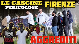 Aggrediti alle Cascine di Firenze [upl. by Dulsea288]