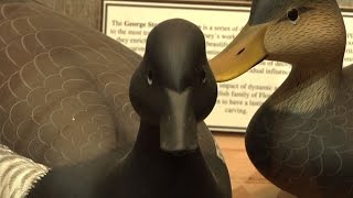 Duck Decoys Attract Fowl and Fans [upl. by Auqeenahs]