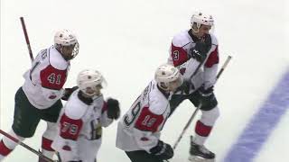 SAINT JOHN SEA DOGS VS HALIFAX MOOSEHEADS NOV 25TH 2017 [upl. by Noed917]