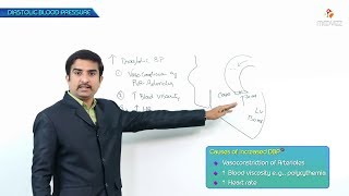 Hypertension Pathology  part 2  Diastolic Blood pressure [upl. by Quirita]