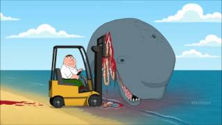 FAMILY GUY WHALE FORKLIFT [upl. by Wallach]