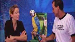 Squawkers McCaw The Parrot Demo from AmazingTechProductscom [upl. by Anahsirk8]