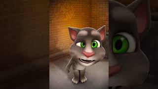 Talking Tom Cat  talkingtomcat [upl. by Nale]