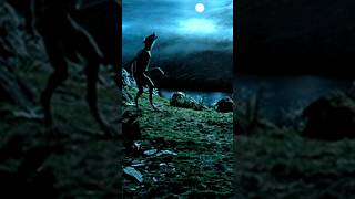 Harry Potter and The Prisoner of Azkaban 2004 Clip  Remus Lupin vs Sirius Black Scene [upl. by Asset]