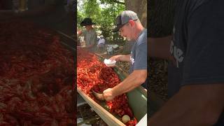 Crawfish boil in Louisiana crawfish louisiana [upl. by Ylus]