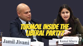 Turmoil Inside the Liberal Party Whats Really Happening [upl. by Soni]