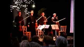 Quatuor Sine Nomine  Live festival les Musicaves 2010 [upl. by Lieberman132]