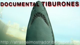 Documental Tiburones Leandro Blanco National Geographic [upl. by Enilav]