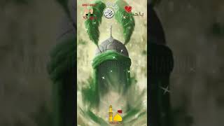 Haider pe lakhon salam⚔❣⚔🌏🕋 viral [upl. by Conlan]