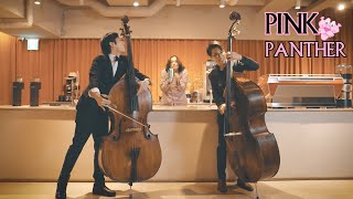 PINK PANTHER Theme Double Bass [upl. by Wilfreda]