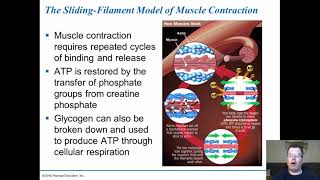 Chapter 39 Muscoloskeletal System [upl. by Aihsoek]