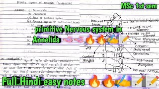 nervous system in Annelida  Earthworm 🪱🪱🪱msc 1st sem invertebrate hindi easy notes 🔥🔥🔥📝📝📝✍️✍️ [upl. by Laine]