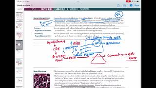 Hyperaldosteronism endocrinology 77  First Aid USMLE Step 1 in UrduHindi [upl. by Saltsman]