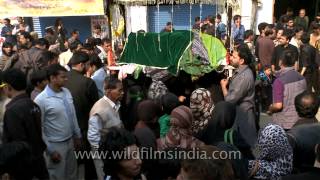 Taziya Procession  Muharram [upl. by Derek]