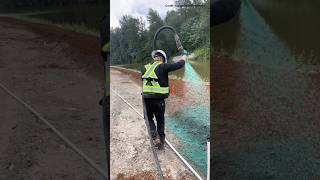 This is hydroseeding How does this work hydroseeding grass mulch [upl. by Odnumyar419]