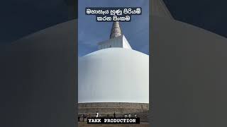 අද උදේ දැකපු පිංවන්ත දසුනක් shorts trending viral tiktok mahaseya buddha [upl. by Dranreb]