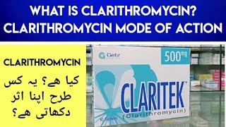 Claritek Clarithromycin 500MG Uses amp Side Effects In Urdu Hindi  Clarithromycin Mode Of Action [upl. by Lewin]