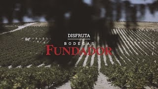 Bodegas Fundador  Vídeo Institucional 2017 [upl. by Gile]