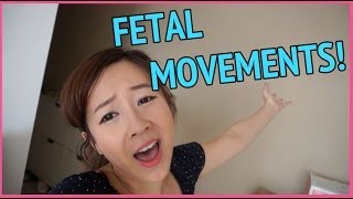 FETAL MOVEMENT [upl. by Etiuqram]