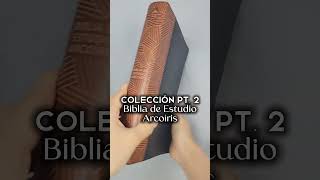 Nuestra colección de Biblias de Estudio Arcoíris pt 2 ¿Cuál llevaría a la iglesia [upl. by Nathaniel]