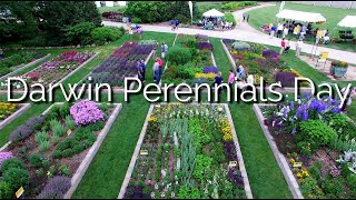 Visit with us Darwin Perennials Day 2022 [upl. by Madelin]