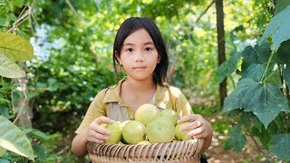 Hang asked for and picked a basket of passion fruit to sell [upl. by Shipman189]