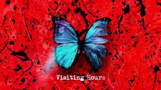 Ed Sheeran  Visiting Hours Official Lyric Video [upl. by Acinahs]