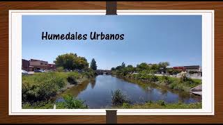 Redescubriendo los humedales de Berisso [upl. by Ybor]