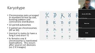 2024 5 Genetics in paediatrics I [upl. by Eiddal54]