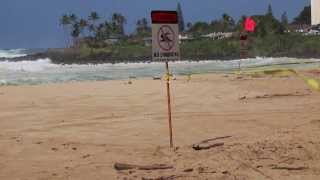 Super Swell Waimea Bay hit by 50 ft Waves on Big Wednesday [upl. by Enirok375]