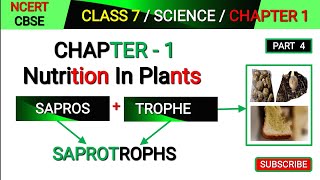 Saprotrophs  Class 7 Science Chapter 1  Nutrition in plants  Mode of Nutrition in plants [upl. by Moia]