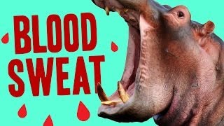 Animal Facts That Will Make You Feel Weird [upl. by Ecyarg922]