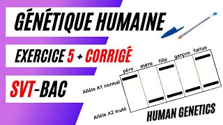 ✅SVTBac GÉNÉTIQUE HUMAINE Analyse des résultats délectrophorèse dADN  Exercice 5  Corrigé [upl. by Akemat852]