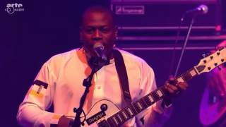 Garifuna Collective Live in Concert 2014 [upl. by Helas]