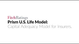 PRISM  US Life Model  Capital Adequacy Model for Insurers [upl. by Nicolais]