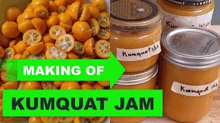 Making Kumquat Jam Fruit amp Sugar only no pectin added [upl. by Hanid]