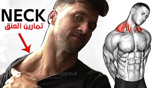 How To Build Your Neck workout Fast 6 Effective Exercises [upl. by Handel616]