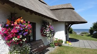 Summer at The Cottages Ireland [upl. by Lallage]