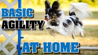 Teach Basic Agility To Your Dog At Home [upl. by Rogerson953]