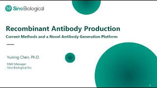 Recombinant Antibody Production Current Methods and a Novel Antibody Generation Platform [upl. by Moretta]