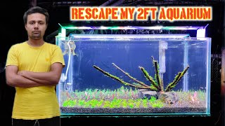 Rescape My 2ft Aquarium Low Tech To High Tech Tank  Planted Aquarium Setup Update [upl. by Atiuqrehs]