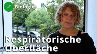 Atmung und die respiratorische Oberfläche – Biologie  Duden Learnattack [upl. by Magocsi]