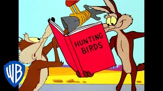 Looney Tunes  Road Runner Hunting  Classic Cartoon  WB Kids [upl. by Fey]