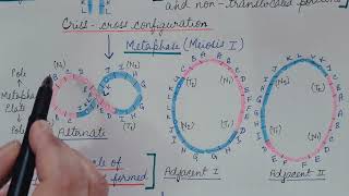 TranslocationChromosomal Aberration Part 3Genetics [upl. by Nahc893]