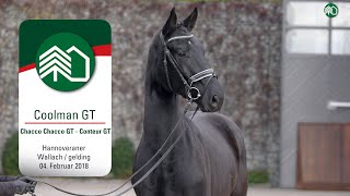 Gestüt Tannenhof’s Christmas Auction Coolman GT Wallach v Chacco Chacco GT  Conteur GT [upl. by Anaihsat]