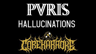 PVRIS  Hallucinations Karaoke Instrumental [upl. by Enelram772]