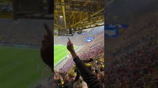 Dortmund vs Atlético I FAN HIGHLIGHTS I Champions League Viertelfinale April 2024 [upl. by Nimzay626]