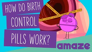 How Do Birth Control Pills Work [upl. by Aras]